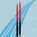 Atomic Redster C5 Skintec