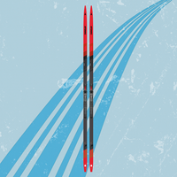 Atomic Redster C9 Skintec