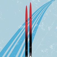 Atomic Redster C2 Skintec