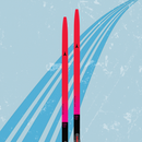 Atomic Redster S9 Carbon