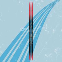 Atomic Redster C5 Skintec